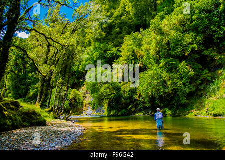 Awakino River, North Island, Neuseeland Stockfoto