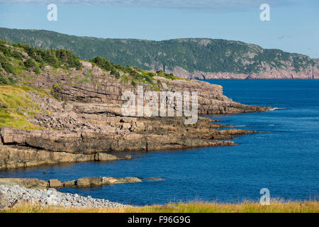 Anzeigen von Inhalt Signal Hill aus Mitesser, Neufundland, Kanada Stockfoto