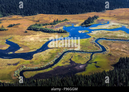 Kanada, British Columbia, Luftaufnahmen, Bowron Fluß Marsh, Bowron Lake Park, Stockfoto