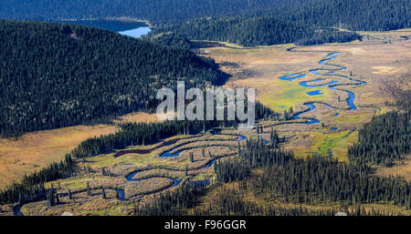 Kanada, British Columbia, Luftaufnahmen, Bowron Fluß Marsh, Bowron Lake Park, Stockfoto