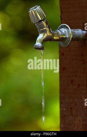 Wasser tropft aus einem outdoor Wasserhahn im Erholungsgebiet auf Vancouver Island, British Columbia, Kanada. Stockfoto