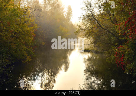 Eine horizontale Landschaftsbild des Nebels auf Forellen Creek mit dem Fall Farben in den frühen Morgenstunden Licht in Sussex New Brunswick Stockfoto