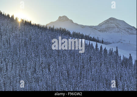 Einem späten Nachmittag Landschaftsbild der Sonne versinkt hinter einem Wald aus Fichten auf einem Hügel in der Nähe von Cadomine Alberta Kanada Stockfoto