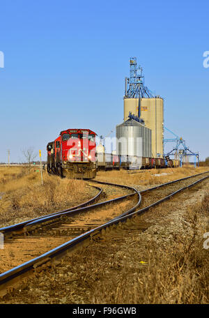 Ein vertikales Bild eines kanadischen nationalen Güterzugs laden Korn Autos auf die Getreide-Silos in der Nähe von Morinville Alberta Stockfoto