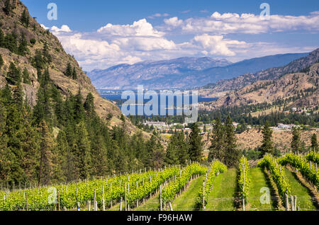 Weinberge mit Bergen und Skaha Lake von Okanagan Falls in the South Okanagan Valley of British Columbia, Kanada. Stockfoto