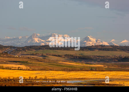 Rockey View County, Abteilung Nr. 6, Alberta, Kanada Stockfoto