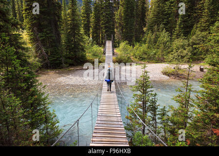 Ein Back Packer kreuzt eine Hängebrücke über einen Fluss in Kootenay National Park, Britisch-Kolumbien Kanada. Model Released Stockfoto