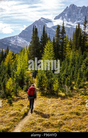 Zwei Rucksacktouristen Wandern in der Nähe von Baker Lake im Wildnisgebiet Skoki von Banff Nationalpark, Alberta, Kanada. Model Released Stockfoto