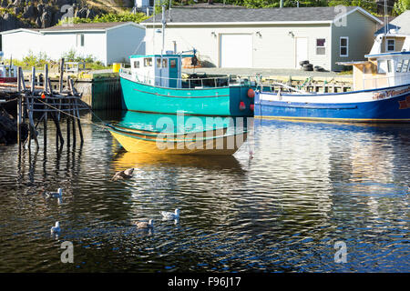 Hölzerne Dories, kleinen Hafen, Neufundland, Kanada Stockfoto