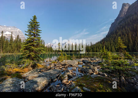 Lake O'Hara im Yoho Nationalpark, Kanadische Rockies Stockfoto