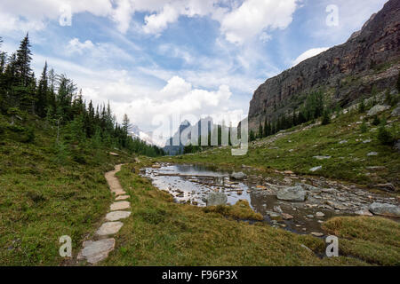 Lake O'Hara im Yoho Nationalpark, Kanadische Rockies Stockfoto