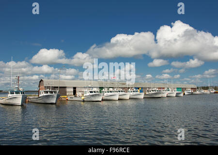 Angelboote/Fischerboote gefesselt im Dock, Beach Point, Prince-Edward-Insel, Kanada Stockfoto