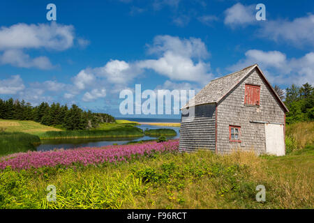 Weidenröschen und Scheune, Priester Teich, Prince Edward Island, Canada Stockfoto