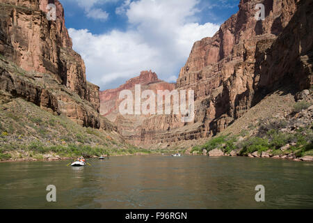 Colorado River, Grand Canyon, Arizona, Vereinigte Staaten von Amerika Stockfoto