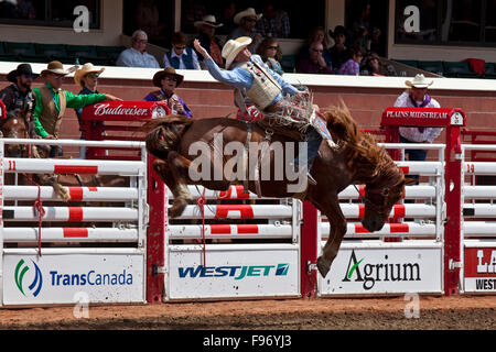 Rodeo, 2015 Calgary Stampede, Calgary, Alberta, Kanada. Stockfoto