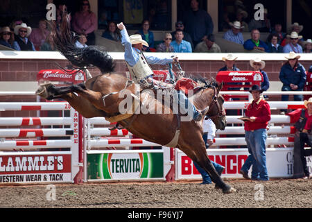 Rodeo, 2015 Calgary Stampede, Calgary, Alberta, Kanada. Stockfoto