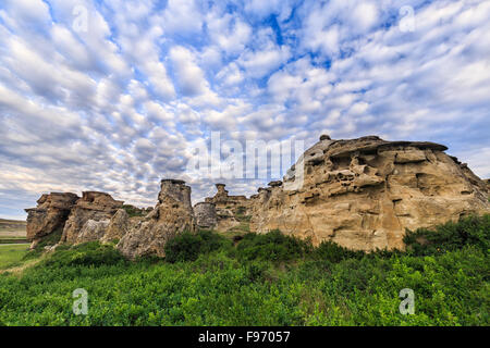 Hoodoos in Badlands-Landschaft, WritingonStone Provincial Park, Alberta, Kanada Stockfoto