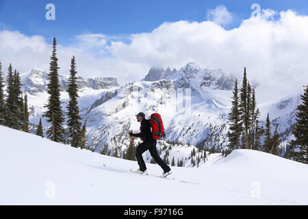 Mann-Skitouren auf den schneebedeckten Gipfeln des Valhalla Provincial Park in British Columbia, Kanada Stockfoto