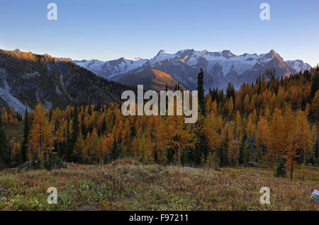 Monica Wiesen Purcell Mountains, British Columbia, Kanada Stockfoto