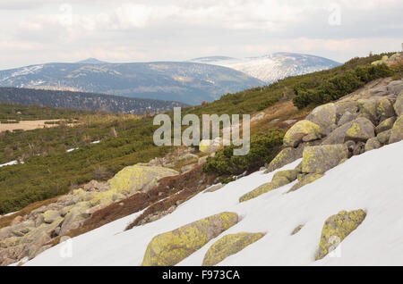 Mays Berglandschaften im Riesengebirge Stockfoto