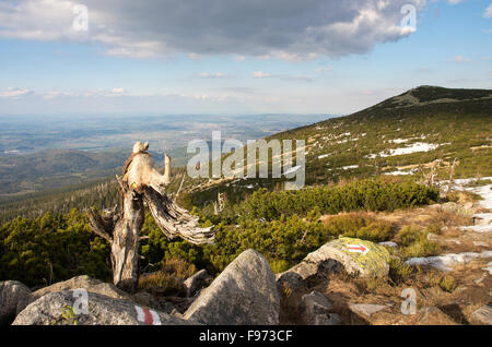 Mays Berglandschaften im Riesengebirge Stockfoto