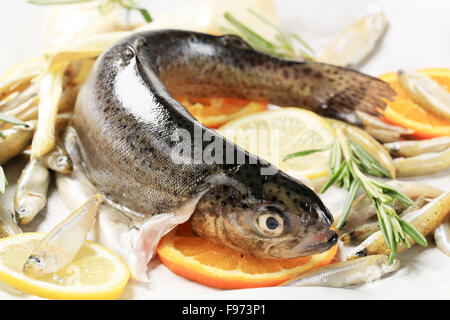 Frische Forellen und Sardellen auf einem Pergamentpapier Stockfoto