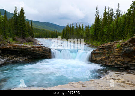 Sheep River Falls Alberta Stockfoto