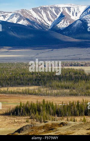 Altai-Gebirge in Kurai Bereich mit Tschujskij Nordgrat auf Hintergrund. Stockfoto