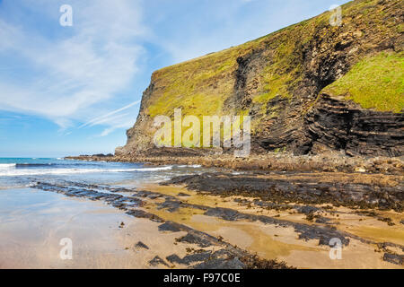 Der Strand von Crackington Haven an der Küste von North Cornwall England UK Europe Stockfoto
