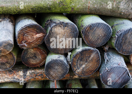 Frost auf einem Haufen Brennholz Stockfoto