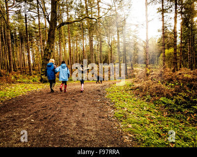 Oma und Enkelinnen mit einem schwarzen Labradoodle Hund wandern durch Delamere Wald in der Nähe von Frodsham in Cheshire, England, UK Stockfoto