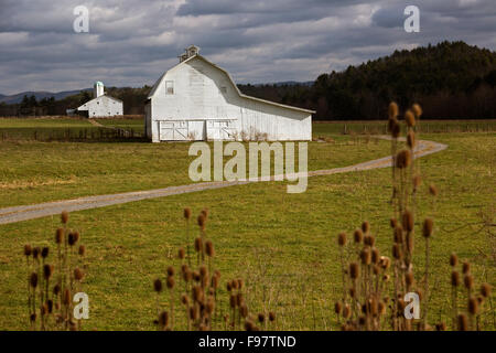 Grüne Bank, West Virginia - Scheunen auf einem Bauernhof im ländlichen Pocahontas County. Stockfoto