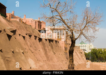 Alter Baum vor der Altstadt von Kashgar mit einem blauen Himmel Stockfoto