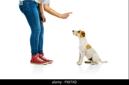 Junge Frau Ausbildung niedlichen Parson Russell Terrier Hund isoliert auf weißem Hintergrund Stockfoto