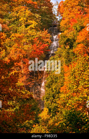 Amicalola fällt Kaskaden über eine Klippe im Herbst im Amicalola Falls State Park in North Georgia. Stockfoto