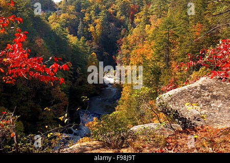 Tallulah Fluss gräbt sich seinen Weg durch Tallulah Schlucht State Park in North Georgia. Stockfoto