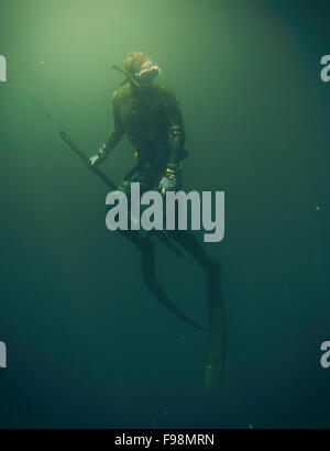 Ein Speer Fischer taucht unter Wasser mit seiner Harpune, Looks für Fische. Stockfoto