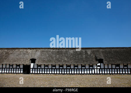 Detail aus einem alten strohgedeckten und Fachwerk Bauernhaus, auf der Open-Air-Museum in Kopenhagen, Dänemark Stockfoto