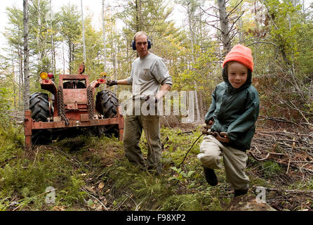 Ein Mann arbeitet mit seinen Söhnen clearing einen Wald zu organischen Rotations Viehweiden. Stockfoto