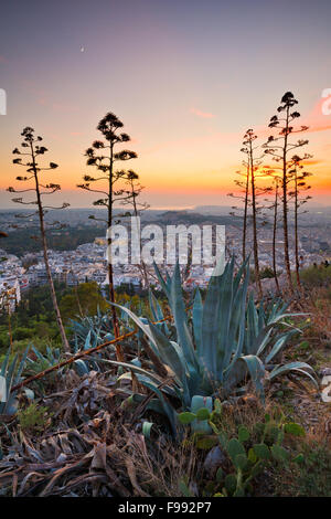 Ansicht von Athen aus Lycabettus-Hügel, Griechenland. Stockfoto