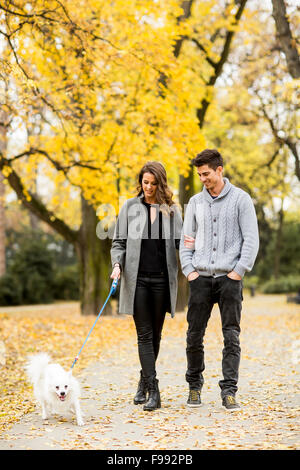 Junges Paar mit Hund im Herbst park Stockfoto