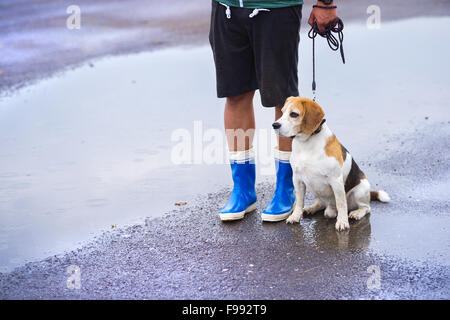 Junger Mann zu Fuß Hund im Regen. Details der Beine Gummistiefel Stockfoto