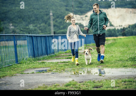 Junges Paar in bunten Gummistiefeln spazieren Beagle Hund im Regen. Stockfoto