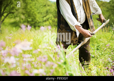 Nahaufnahme von senior Bauer mit Sense traditionell das Rasenmähen Stockfoto
