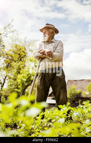 Alter Bauer mit einer Hacke hat Pause vom Unkraut jäten Stockfoto