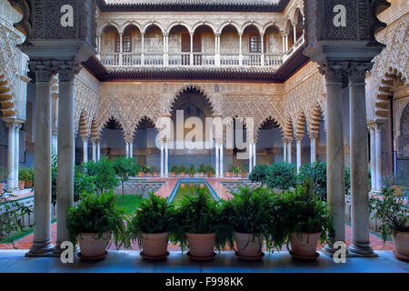 Königlichen Alcazar "Patio de Las Doncellas´, Innenhof der Jungfrauen, Sevilla, Andalusien, Spanien Stockfoto