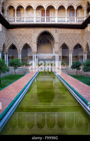 Königlichen Alcazar "Patio de Las Doncellas´, Innenhof der Jungfrauen, Sevilla, Andalusien, Spanien Stockfoto