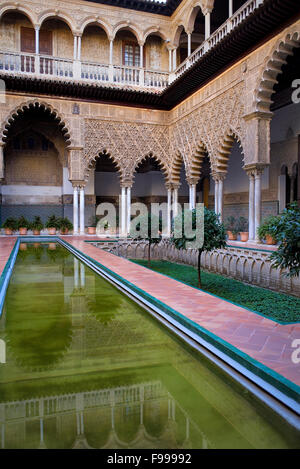 Königlichen Alcazar "Patio de Las Doncellas´, Innenhof der Jungfrauen, Sevilla, Andalusien, Spanien Stockfoto