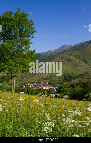 Blick über eine traditionelle Mähwiese, der Berg Dorf Cassou. Ariege Pyrenäen, Frankreich. Mai. Juni. Stockfoto