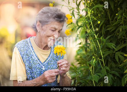 Portrait von senior Frau in Schürze mit gelben Blume im sonnigen Garten Stockfoto